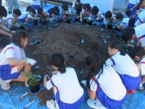 2025年9月11日　小学校スプレーギク教室4